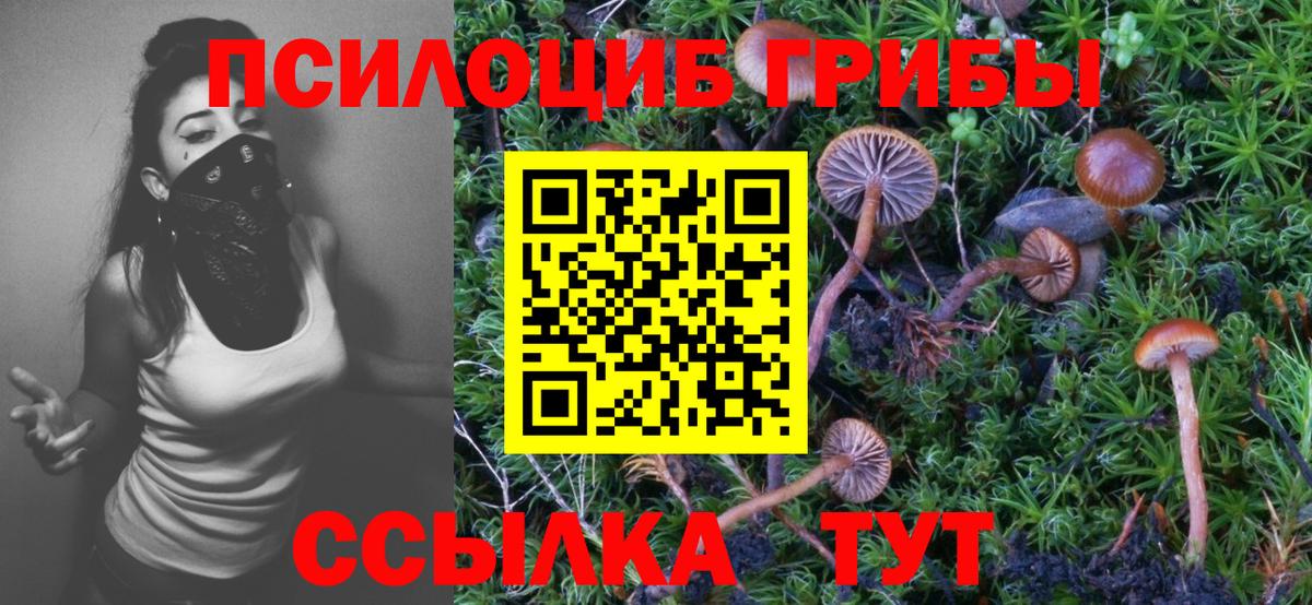 Воронеж  купить наркотик  Вход с VPN  Галлюциногенные грибы мухоморы 