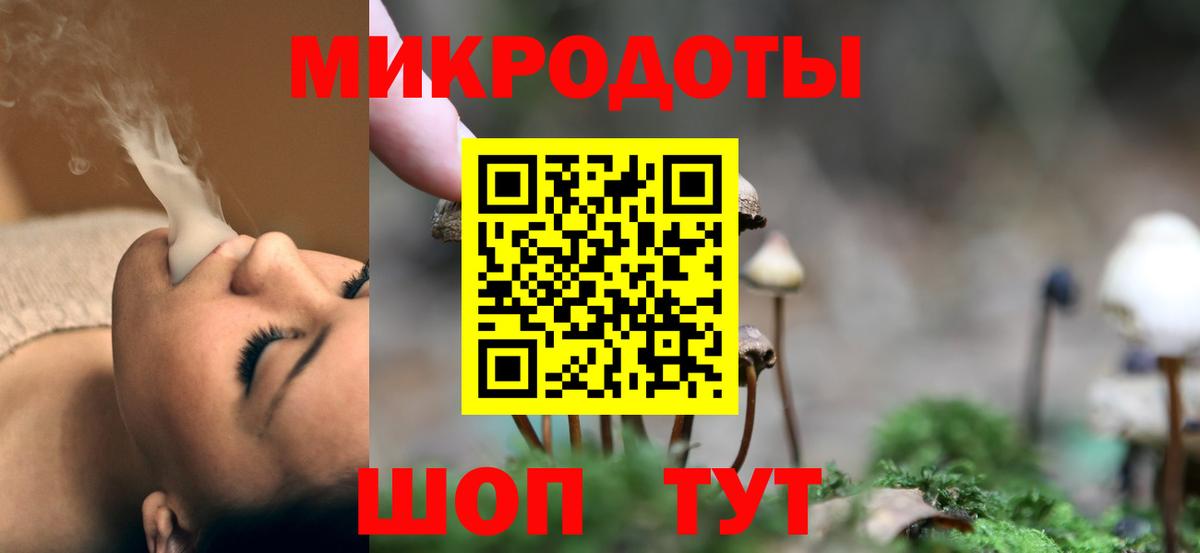 Псилоцибиновые грибы Psilocybe Воронеж